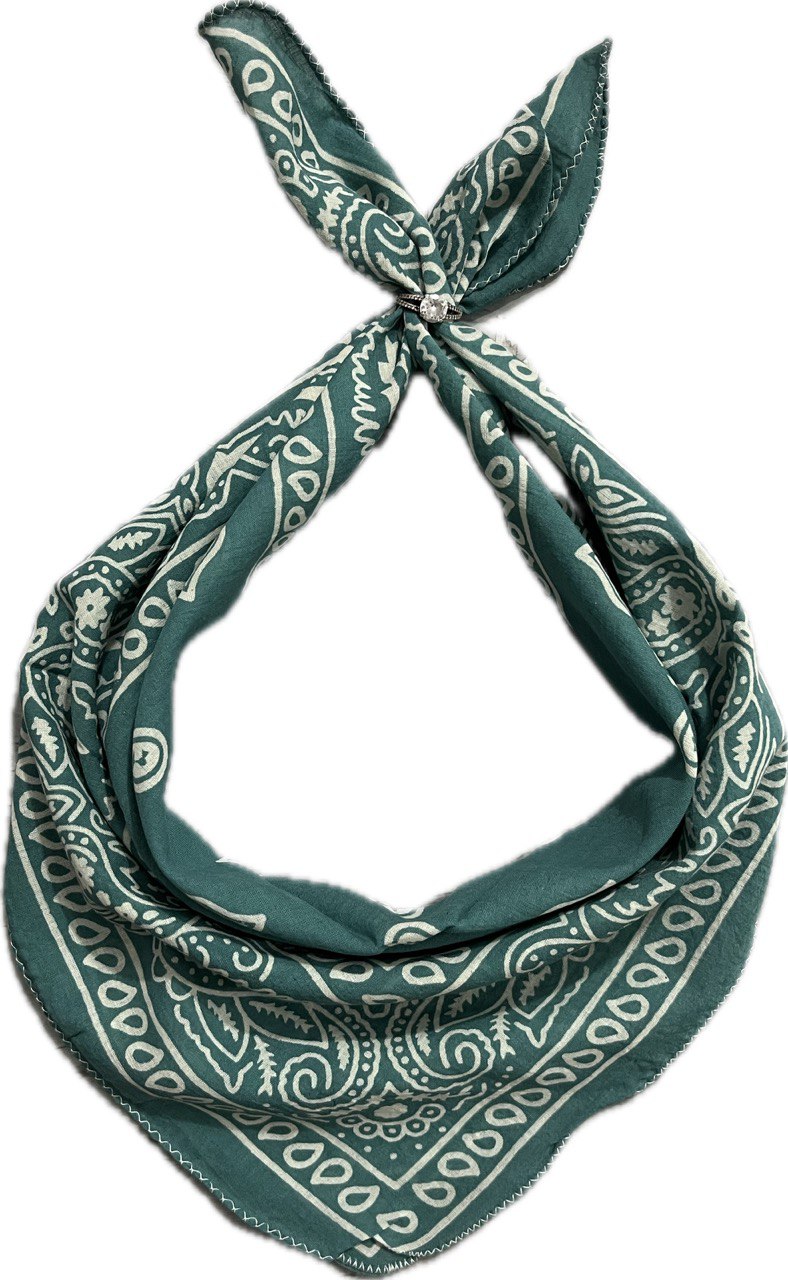 Teal green bandana