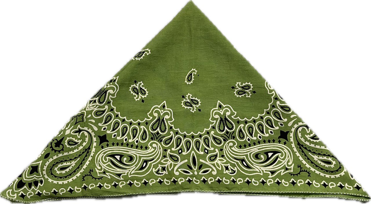 Olive Green Paisley Bandana, Unisex Organic Cotton Head & Neck Scarf for Men & Women - Size 21x21 Inches