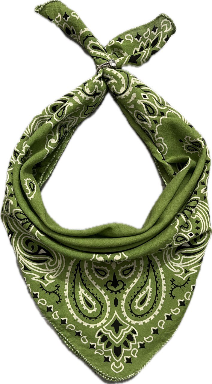 Olive Green Paisley Bandana, Unisex Organic Cotton Head & Neck Scarf for Men & Women - Size 21x21 Inches