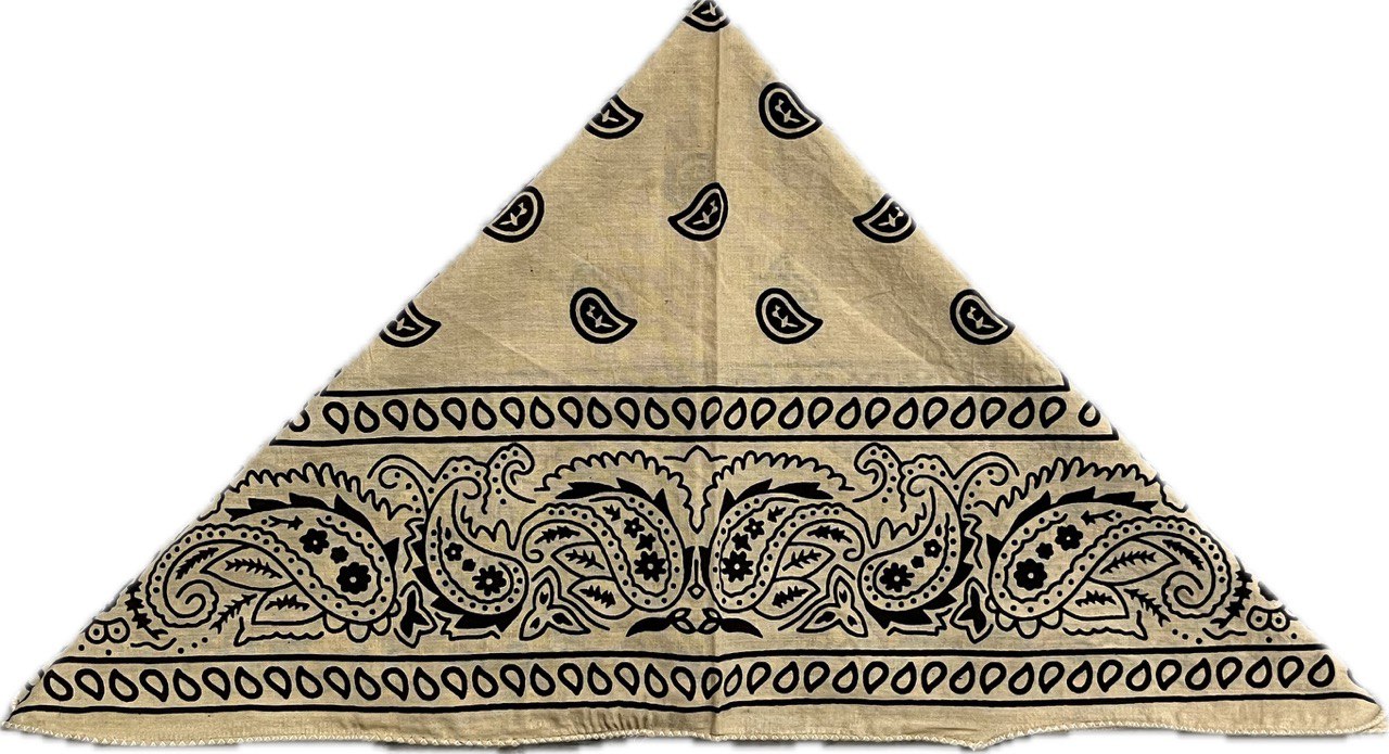 Eco-Friendly Beige & Black Paisley Bandana | Unisex Organic Cotton Scarf - Size 21x21 Inches, Hair Scarf