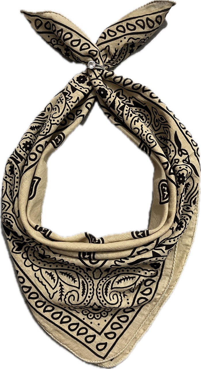 Eco-Friendly Beige & Black Paisley Bandana | Unisex Organic Cotton Scarf - Size 21x21 Inches, Hair Scarf